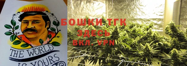 дурь Покачи